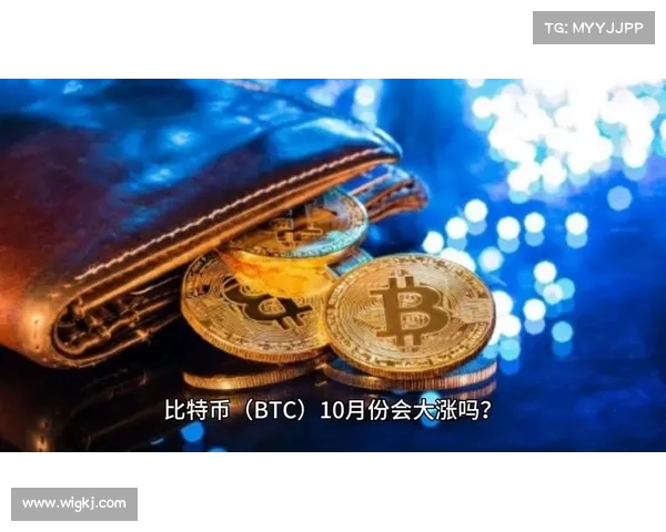比特币抛售加剧，早期2025年的涨幅被抹去 (BTC